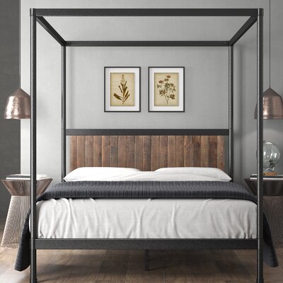 Gina Canopy Bed -  Zinus, FBMIND-72F