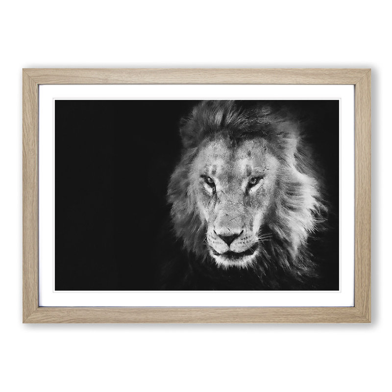 Portrait of a Lion - Framed Print, 62cm H x 87cm W x 2cm D, Oak Framed