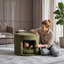 Repose-pieds pour animaux de compagnie avec coussin amovible