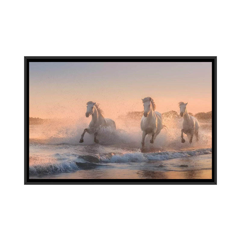 White Angels Of Camargue VI by Daniel Kordan - Print on Canvas, 66.04 cm H x 45.72 cm W, Black Framed
