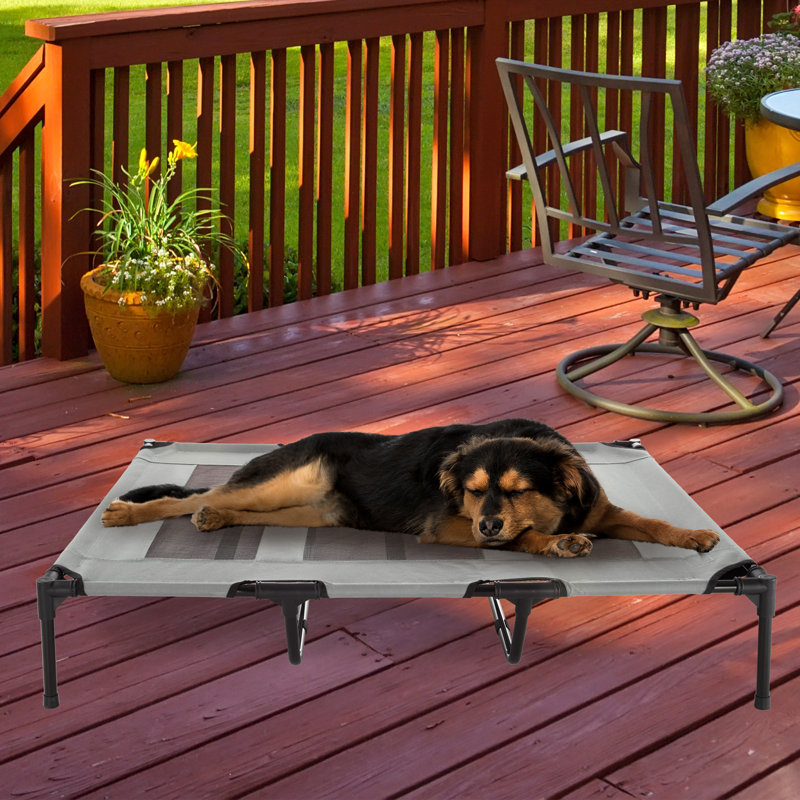 Lit pour chien surélevé portable avec caisse de transport PETMAker, Très grand (l 48 po x P 36 po x H 9 po), Gris