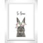 Le lapin est courage-48187581-48187586