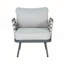 Ensemble de 2 fauteuils club en acier pour l'intérieur et l'extérieur