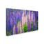 « lupine fleurs », reproduction de photo sur toile tendue-32706794