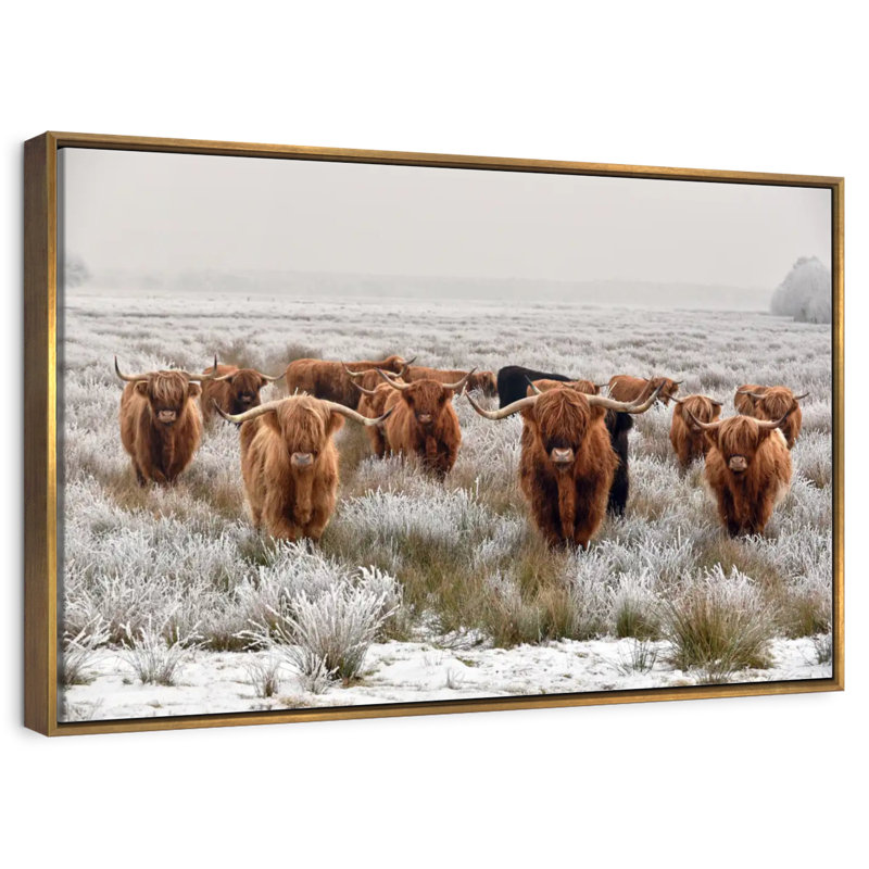 Winter Highland Cows, Cadre flottant doré, 31 po x 21 po