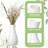 Niota Table Vase - Set of 10