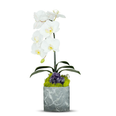 Artificial Orchid in Planter
