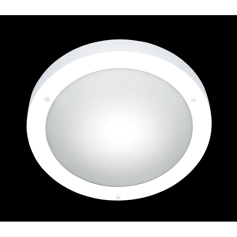 1 Light Ceiling Spotlight