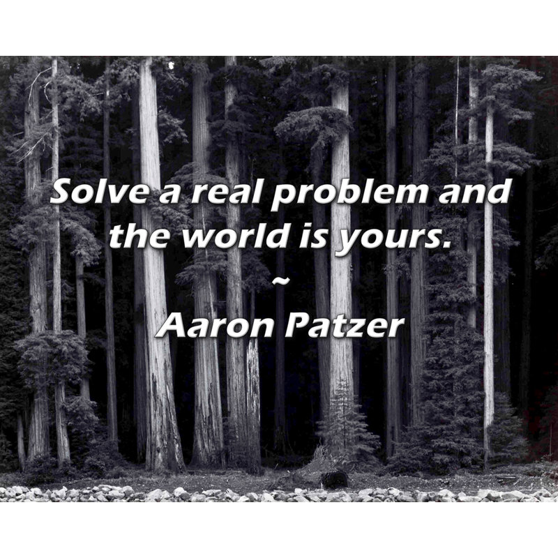 Aaron Patzer Citation: Résolvez un problème réel et le monde vous appartient., H 26 po x l 32 po