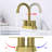 Topcraft Stainless Steel Two Handle Bathroom Faucet-111923568