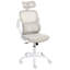 Office Chair with Headrest-252896912