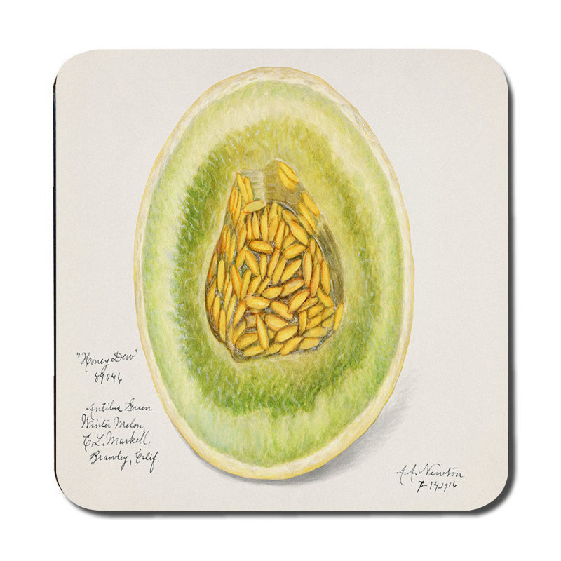 Watercolor Cantaloupe Placemat And Coaster Set For Dining Table