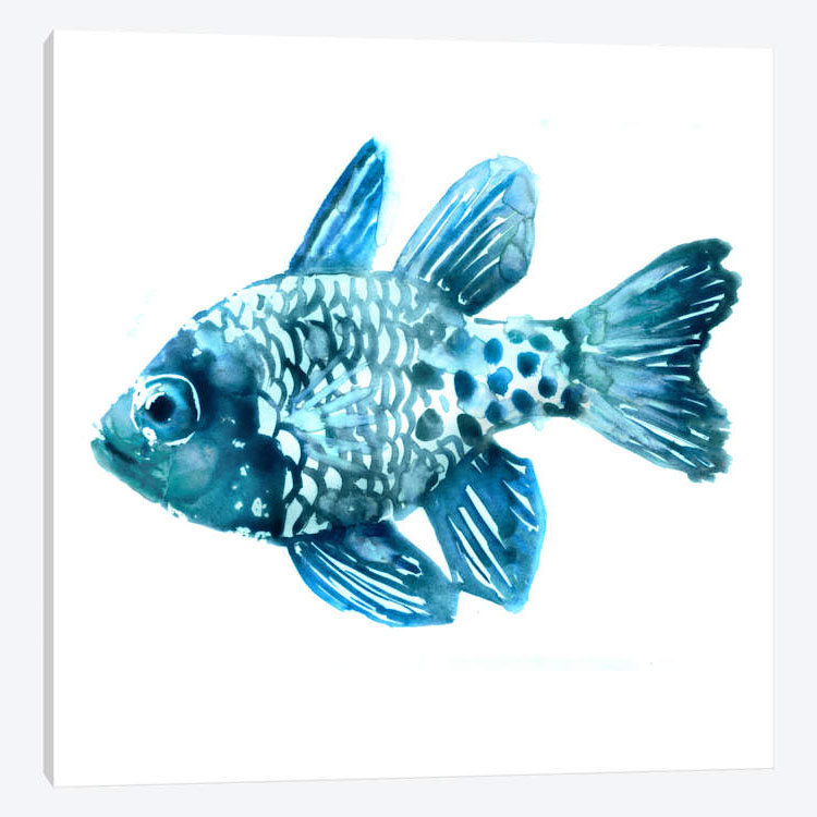 « fish ii », impression sur toile, H 37 po x l 37 po x P 1,5 po, Pas de tapis, Toile tendue