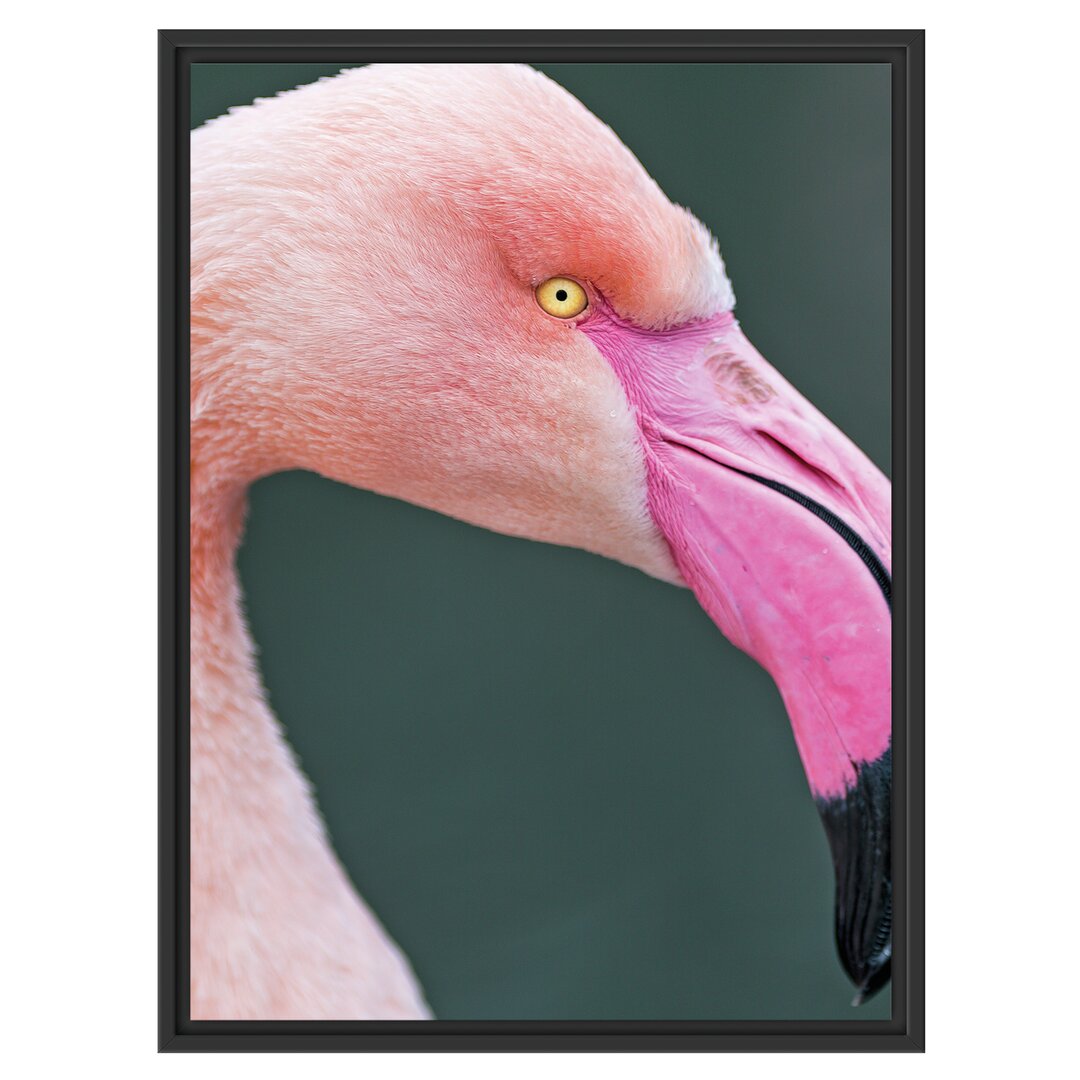 Gerahmtes Wandbild FlamingoSeitenprofil