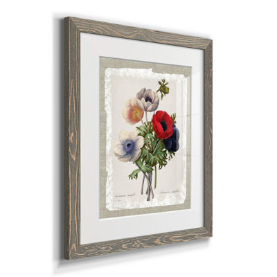 Botanical Bouquet Anemone - Reproduction d'art graphique sur papier encadré