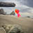 15" Damsel Fish Windsock-93794972