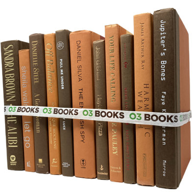 Spiced Cider Decorative Books Orange and Dark Brown