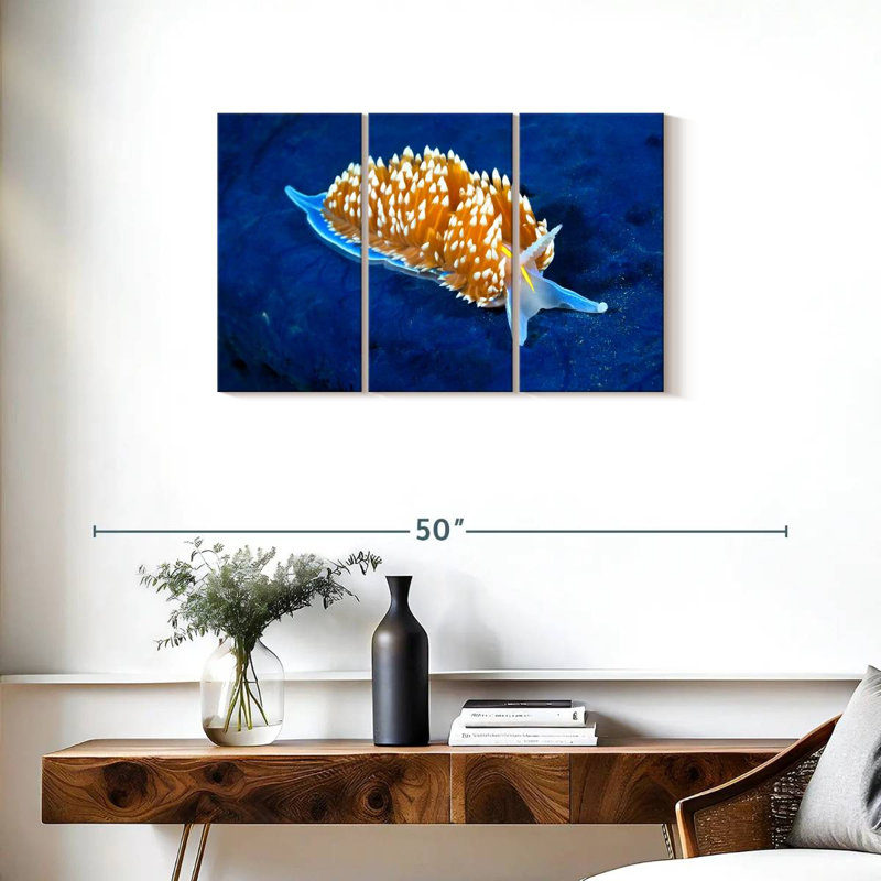 Nudibranche rougeoyant, H 20 po x l 33 po