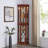 Glass Display Shelf With Tempered Glass Doors-1972703121-1976103031-1976467603
