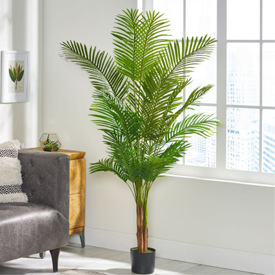 180Cm Artificial Tree - Charisma Of Tropical Allure Long Feathered And Organized Systematically Unbranched Stems For Beautification 43W X 43D 71H Iron + Plastic Manually Constructed Appeal Allurement