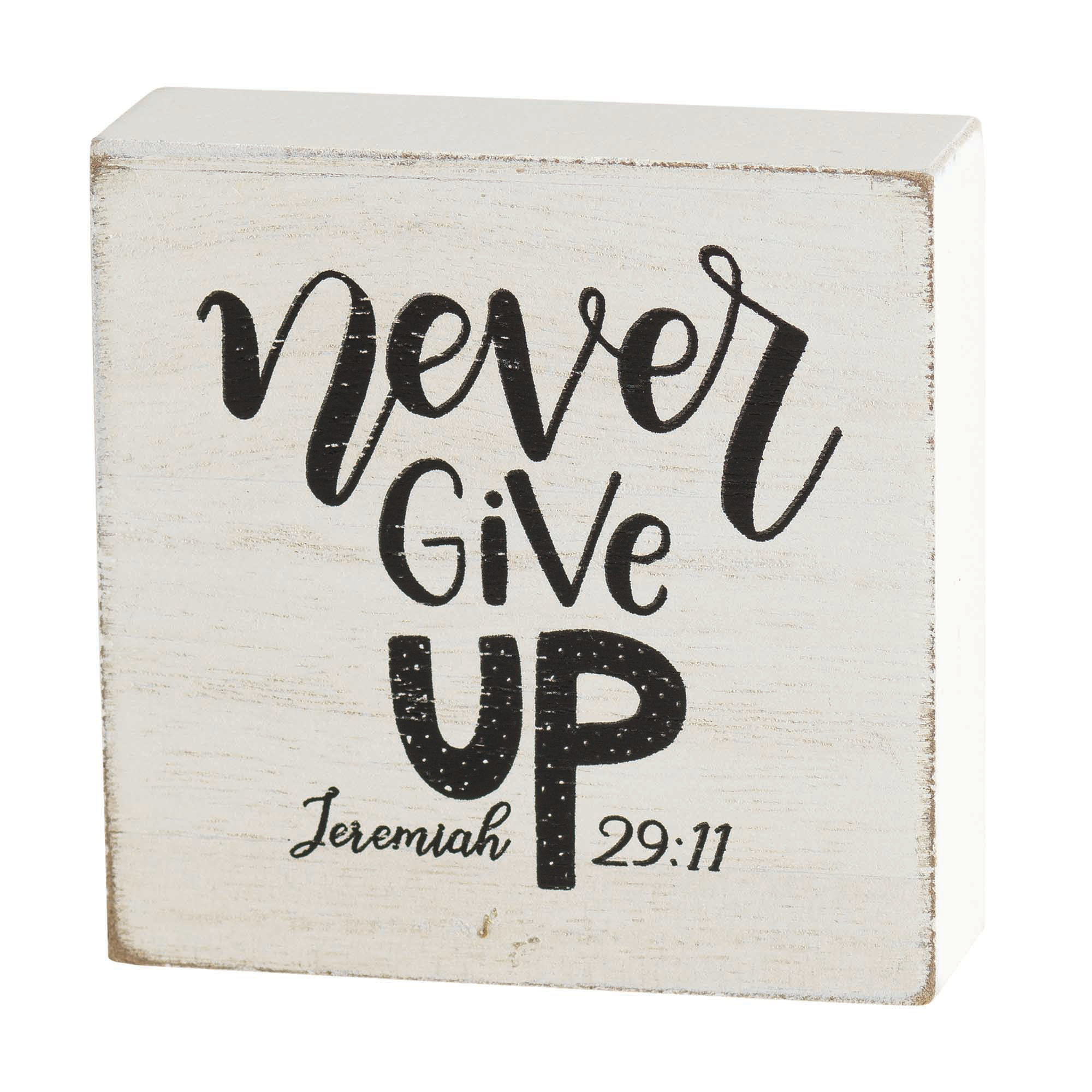 Trinx Breedenjr Never Give up Jer 29:11 Decorative Plaque | Wayfair