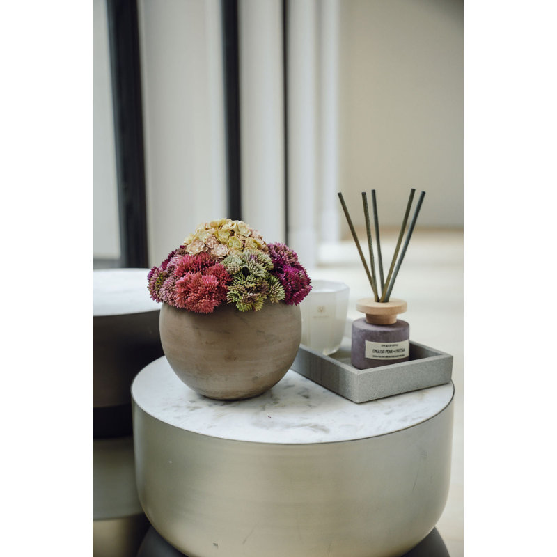 Elias Sedum Arrangement, Red/Beige/Green