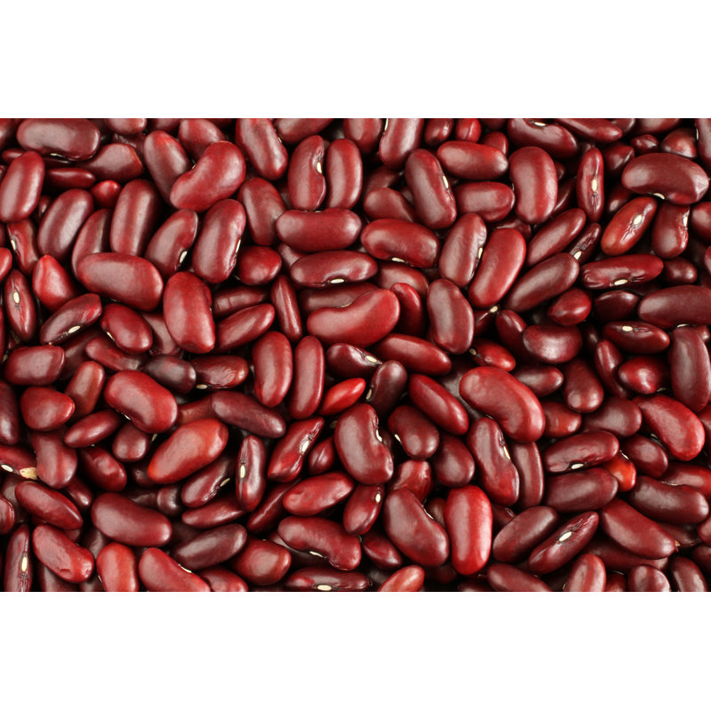 Raw Kidney Beans by Owl_photographer - Wrapped Canvas Print, 30cm H x 46cm W
