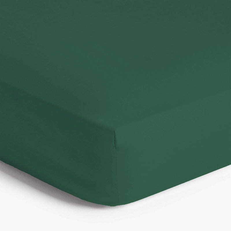 Angelka Microfiber Brushed Deep Fitted Bed Sheet, Emerald, Double (4'6)