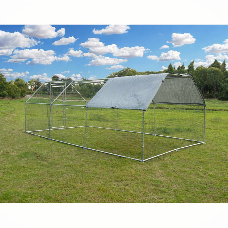 Poulailler avec treillis métallique 130 pi² Crisinda, H 78 po x l 163,2 po x P 81,16 po