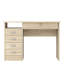Gouge Computer Desk-38263702