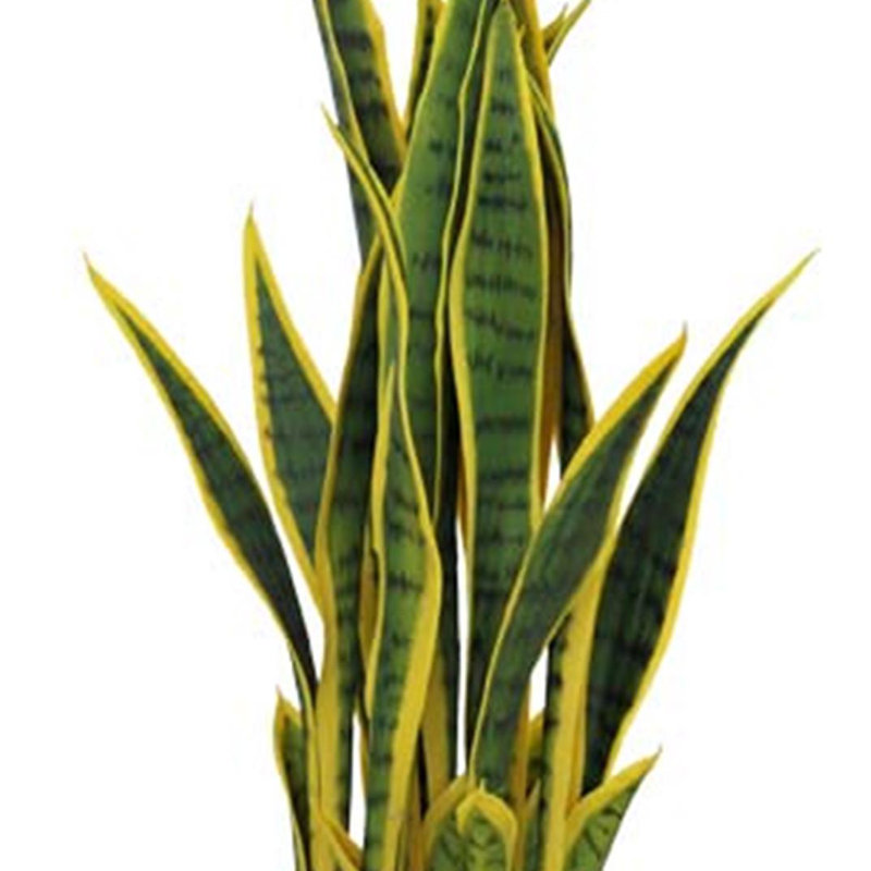 Anivea 70cm Faux Tree in Pot