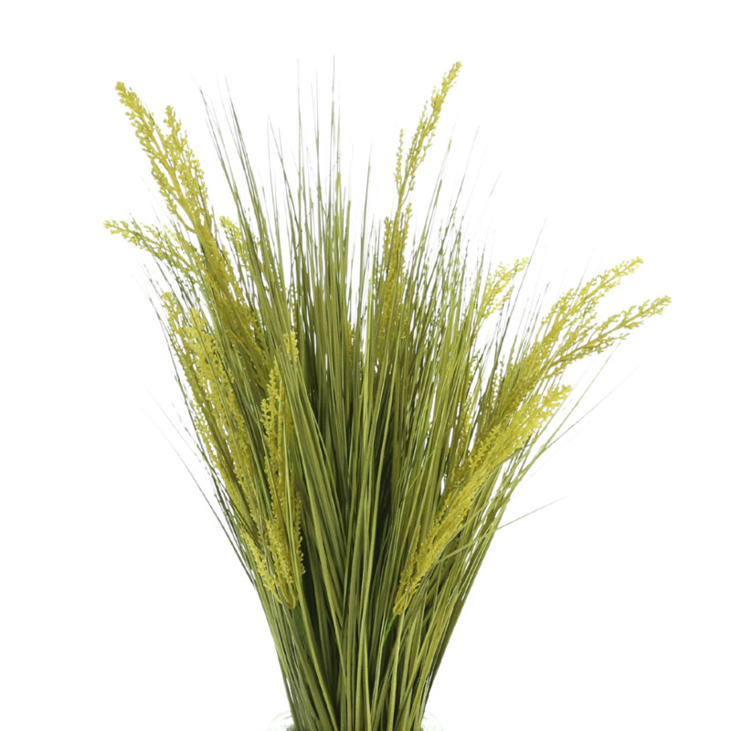 Grass Arrangement In Shell Vase