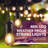 Burroughs  48' Outdoor 15 - Bulb Standard String Light-279005452