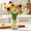  Vase Elara-1831582717