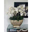 Vivien Gold Vase With Phaleanopsis Orchids-772172526