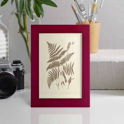 Assiyah " Sepia Ferns I "