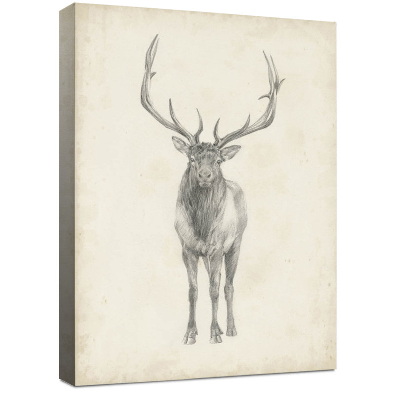 " Elk Study "