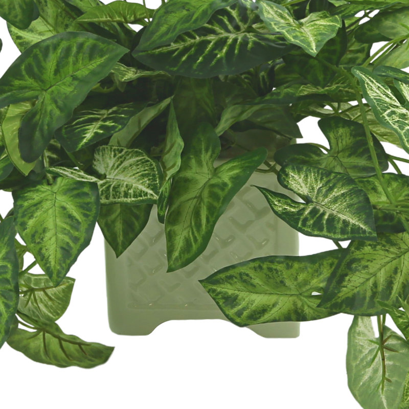 Ochoa Faux Syngonium Plant in Ceramic Vase