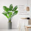 56'' Faux Foliage Plant in Planter