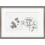 Strawflower Giclee Print by Susan Hable