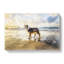 Border Collie Dog at the Beach in Abstract - Wrapped Canvas-55315964