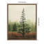 «Young Evergreen II» par Grace Popp, reproduction d'art sur toile encadrée-109519646