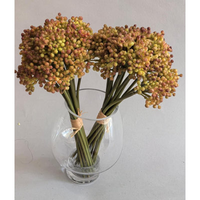 HORRANGEAS À GRAINES, CUEILLETTES X12
