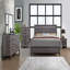COFFRE GRIS FOIL