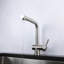 Belfry Kitchen Gaiser Pull Out Kitchen Faucet