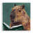 Studious Capybara Reading Wall Plaque, design by Studio Bautista