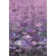 Premium Machine Washable Cerrito Purple Rug