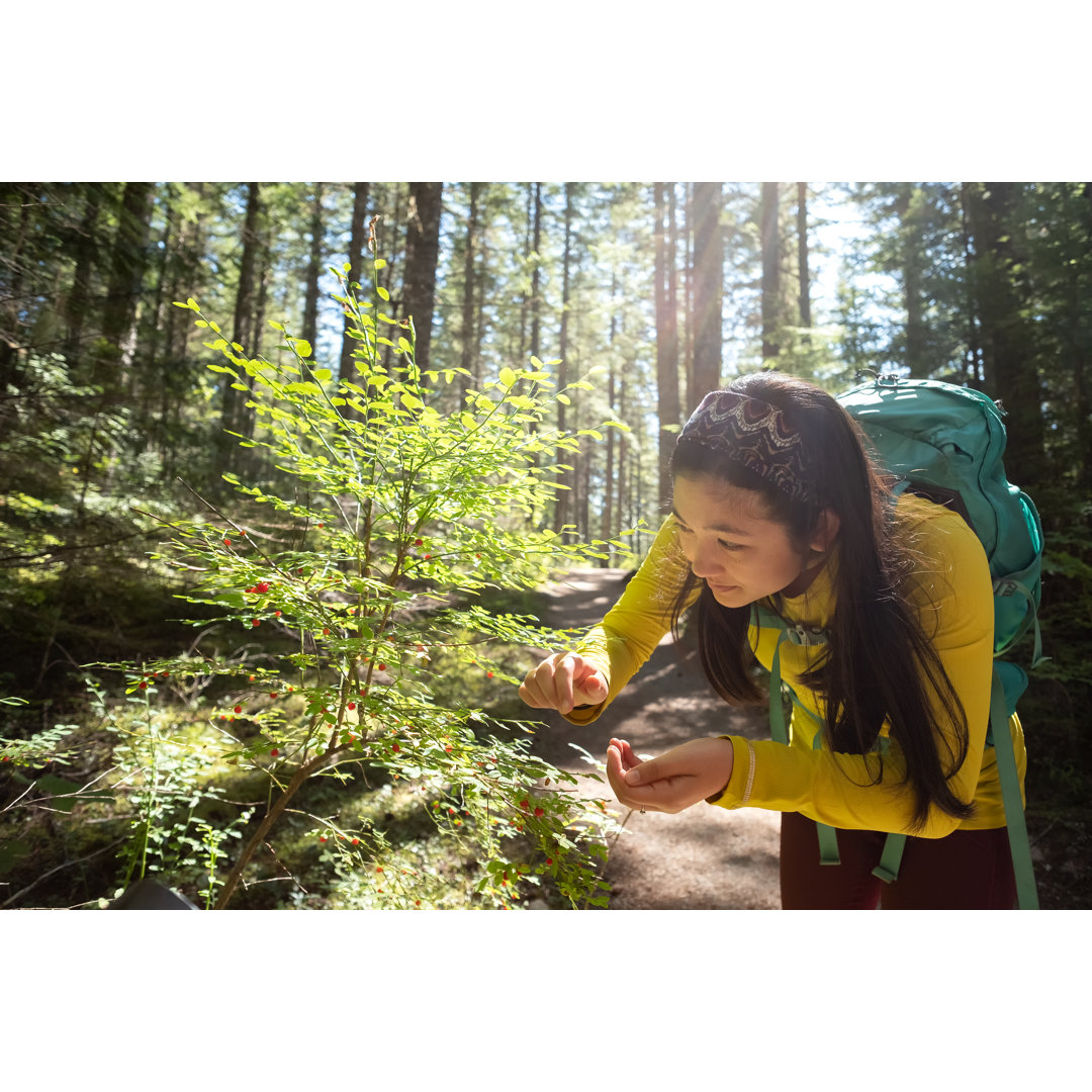 Junge Frau beim Wandern