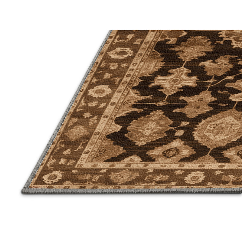 Machine Washable Overdyed Brown Area Rug, Rectangle 3' x 5'