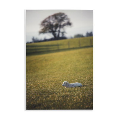  «Lamb in Lush Farmland», art mural par Thomas Tepstad Berge